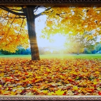 Картина (2139673)