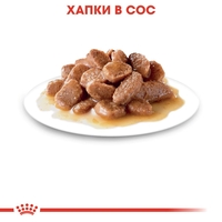 ROYAL CANIN® FHN STERILISED за кастрирани котки над 12 месеца (пастет)
