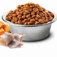 N&D Ocean Codfish, Pumpkin & Orange Adult Medium & Maxi – суха храна без зърнени култури за кучета над 1 година от седни и едри породи, с риба треска, тиква и портокал