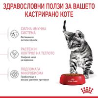ROYAL CANIN® FHN KITTEN STERILISED за кастрирани подрастващи котенца от 6 до 12 месеца