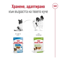 ROYAL CANIN® SHN X-SMALL ADULT - за кучета в зряла възраст от много дребни породи (тегло в зряла възраст до 4кг) – от 10 месеца до 8 години