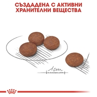 ROYAL CANIN® CCN MINI DIGESTIVE CARE - за кучета в зряла и напреднала възраст от дребни породи (от 1 до 10 кг) - над 10 месеца - кучета предразположени към храносмилателна чувствителност