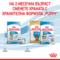 ROYAL CANIN MINI Starter Mother & Babydog 1 кг