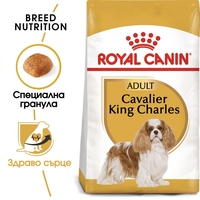 ROYAL CANIN® BHN CAVALIER KING CHARLES ADULT за кучета в зряла и напреднала възраст порода кавалер кинг чарлз шпаньол - над 10 месеца