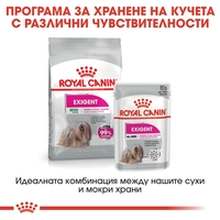 ROYAL CANIN® CCN MINI EXIGENT за кучета в зряла и напреднала възраст от дребни породи (от 1 до 10 кг) - над 10 месеца - кучета с капризен апетит