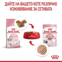 ROYAL CANIN® FHN KITTEN за 2-ра фаза на растеж при подрастващи котенца до 12 месеца (пастет)