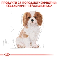 ROYAL CANIN® BHN CAVALIER KING CHARLES SPANIEL PUPPY за подрастващи кучета порода кавалер кинг чарлз шпаньол – до 12 месеца