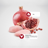 N&D Prime Chicken & Pomegranate Kitten – мокра храна без зърнени култури за подрастващи котенца до 1 година, с пилешко и нар, консерва