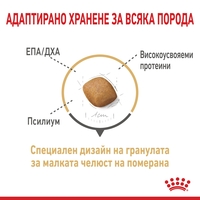 ROYAL CANIN® BHN POMERANIAN ADULT за кучета в зряла и напреднала възраст порода померани – над 8-месечна възраст