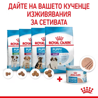 ROYAL CANIN® SHN STARTER MOTHER & BABYDOG мек мус за бременни и кърмещи кучета и техните малки кученца (от отбиването до 2-месечна възраст)