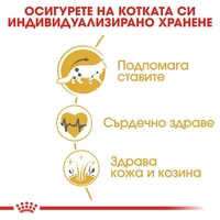 ROYAL CANIN® FBN MAINE COON ADULT за котки в зряла възраст порода мейн куун – над 15 месеца