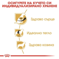 ROYAL CANIN® BHN CAVALIER KING CHARLES ADULT за кучета в зряла и напреднала възраст порода кавалер кинг чарлз шпаньол - над 10 месеца