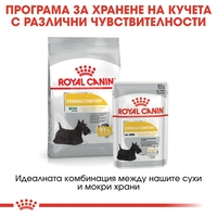 ROYAL CANIN® CCN DERMACOMFORT за кучета в зряла възраст над 10 месеца - кучета предразположени към кожни раздразнения и сърбеж