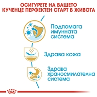 ROYAL CANIN® BHN PUG PUPPY - за подрастващи кучета порода мопс до 10 месеца