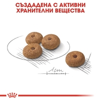 ROYAL CANIN® CCN MINI STERILISED за кастрирани кучета в зряла възраст от дребни породи (от 1 до 10 кг) - над 10 месеца - кучета със склонност към натрупване на наднормено тегло