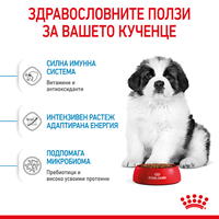 ROYAL CANIN® SHN GIANT PUPPY за подрастващи кучета от гигантски породи (тегло в зряла възраст над 45 кг) - до 8 месеца