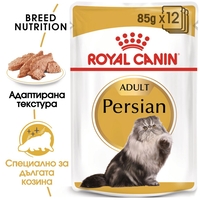 ROYAL CANIN® FBN PERSIAN за персийски котки в зряла възраст - над 12 месеца (пастет)