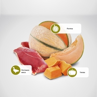 N&D Adult Cat Pumpkin Duck & Cantaloupe – суха храна за котки без зърнени култури, с патешко, тиква и пъпеш