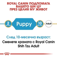 ROYAL CANIN® BHN SHIH TZU PUPPY - за подрастващи кучета порода ши цу над 10 месеца