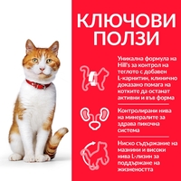 Hill's Science Plan Feline Young Adult Sterilised Chicken  - Пълноценна суха храна за млади кастрирани котки от 6 месеца до 6 години, с пилешко