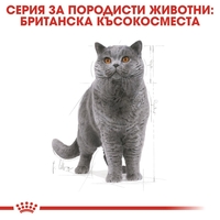 ROYAL CANIN® FBN BRITISH SHORTHAIR ADULT за британски късокосмести котки в зряла възраст - над 12 месеца