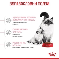 ROYAL CANIN® FHN MOTHER & BABYCAT за женски котки и техните подрастващи котенца – за котки през периода на бременността и кърмене – 1-ви етап на растеж на котенцата (от 1 до 4 месеца) до периода на отбиване