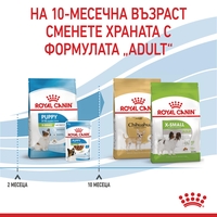 ROYAL CANIN® SHN X-SMALL PUPPY за подрастващи кучета от миниатюрни породи (тегло в зряла възраст до 4 кг) - до 10 месеца