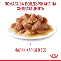 ROYAL CANIN® FCN CARE DIGEST SENSITIVE CAT за котки в зряла възраст (хапки в сос)