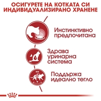 ROYAL CANIN® FHN INSTINCTIVE за котки в зряла възраст на 12 месеца (малки хапки в сос)