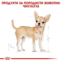 ROYAL CANIN® BHN CHIHUAHUA за кучета в зряла и напреднала възраст порода чихуахуа - над 8 месеца (пастет)