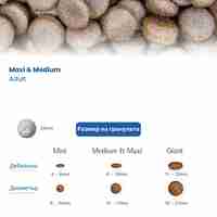 N&D Quinoa Digestion Lamb Adult Medium & Maxi dogs – суха храна за добро храносмилане и без зърнени култури за кучета в зряла възраст от средни и едри породи, с агнешко, киноа, копър, мента и артишок