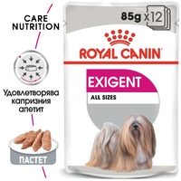 ROYAL CANIN® CCN EXIGENT за кучета в зряла възраст над 10 месеца – кучета с капризен апетит