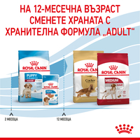 ROYAL CANIN® SHN MEDIUM PUPPY  за подрастващи кучета от средни породи (тегло в зряла възраст от 11 до 25 кг) - до 12 месеца