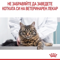 ROYAL CANIN® FCN CARE DIGESTIVE CAT за котки в зряла възраст