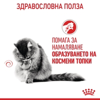 ROYAL CANIN® FCN CARE HAIRBALL за котки в зряла възраст (малки хапки в желе)