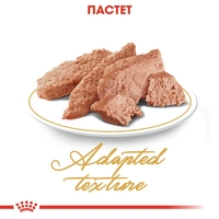 ROYAL CANIN® FBN PERSIAN за персийски котки в зряла възраст - над 12 месеца (пастет)