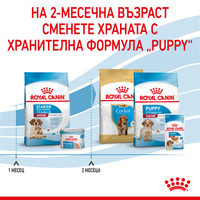 ROYAL CANIN® SHN MEDIUM STARTER за женски кучета от средни породи (от 11 до 25 кг) и нейните кученца: в края на бременността и по време на кърмене - период на отбиване на подрастващи кученца на възраст до 2 месеца