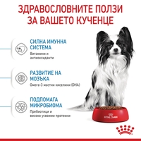 ROYAL CANIN® SHN X-SMALL PUPPY за подрастващи кучета от миниатюрни породи (тегло в зряла възраст до 4 кг) - до 10 месеца