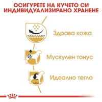 ROYAL CANIN® BHN PUG ADULT - за кучета в зряла и напреднала възраст порода мопс - над 10 месеца, 1.5 кг
