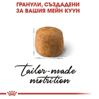 ROYAL CANIN® FBN MAINE COON ADULT за котки в зряла възраст порода мейн куун – над 15 месеца