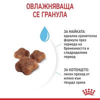 ROYAL CANIN® FHN MOTHER & BABYCAT за женски котки и техните подрастващи котенца – за котки през периода на бременността и кърмене – 1-ви етап на растеж на котенцата (от 1 до 4 месеца) до периода на отбиване