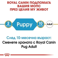 ROYAL CANIN® BHN PUG PUPPY - за подрастващи кучета порода мопс до 10 месеца