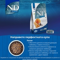 N&D Ocean Herring, Pumpkin & Orange Adult Cat – суха храна без зърнени култури за котки, с херинга, тиква и портокал