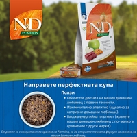 N&D Pumpkin & Venison Adult cat – пълноценна мокра храна без зърнени култури за котки над 1 година с еленско месо и тиква, консерва