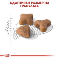 ROYAL CANIN® FHN SENSIBLE за котки в зряла възраст над 1 година - при чувствителна храносмилателна система