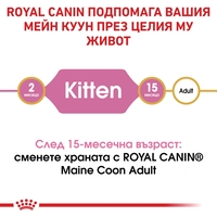 ROYAL CANIN® FBN MAINE COON KITTEN за подрастващи котенца от порода мейн куун (до 15 месеца)