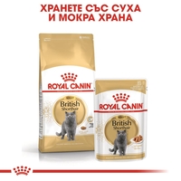 ROYAL CANIN® FBN BRITISH SHORTHAIR ADULT за британски късокосмести котки в зряла възраст - над 12 месеца