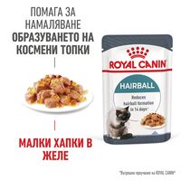 ROYAL CANIN® FCN CARE HAIRBALL за котки в зряла възраст (малки хапки в желе)