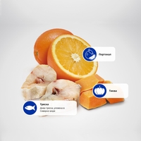 N&D Ocean Codfish, Pumpkin & Orange Adult Medium & Maxi – суха храна без зърнени култури за кучета над 1 година от седни и едри породи, с риба треска, тиква и портокал