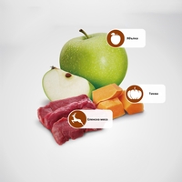 N&D Pumpkin Venison & Apple Adult Medium & Maxi – суха храна без зърнени култури за кучета над 1 година от средни и едри породи, с еленско, тиква и ябълка